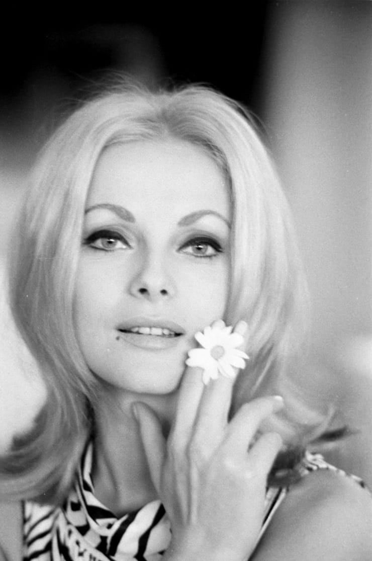 Picture of Virna Lisi