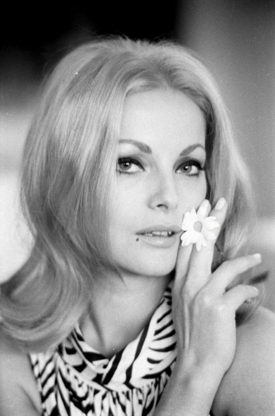 Picture of Virna Lisi