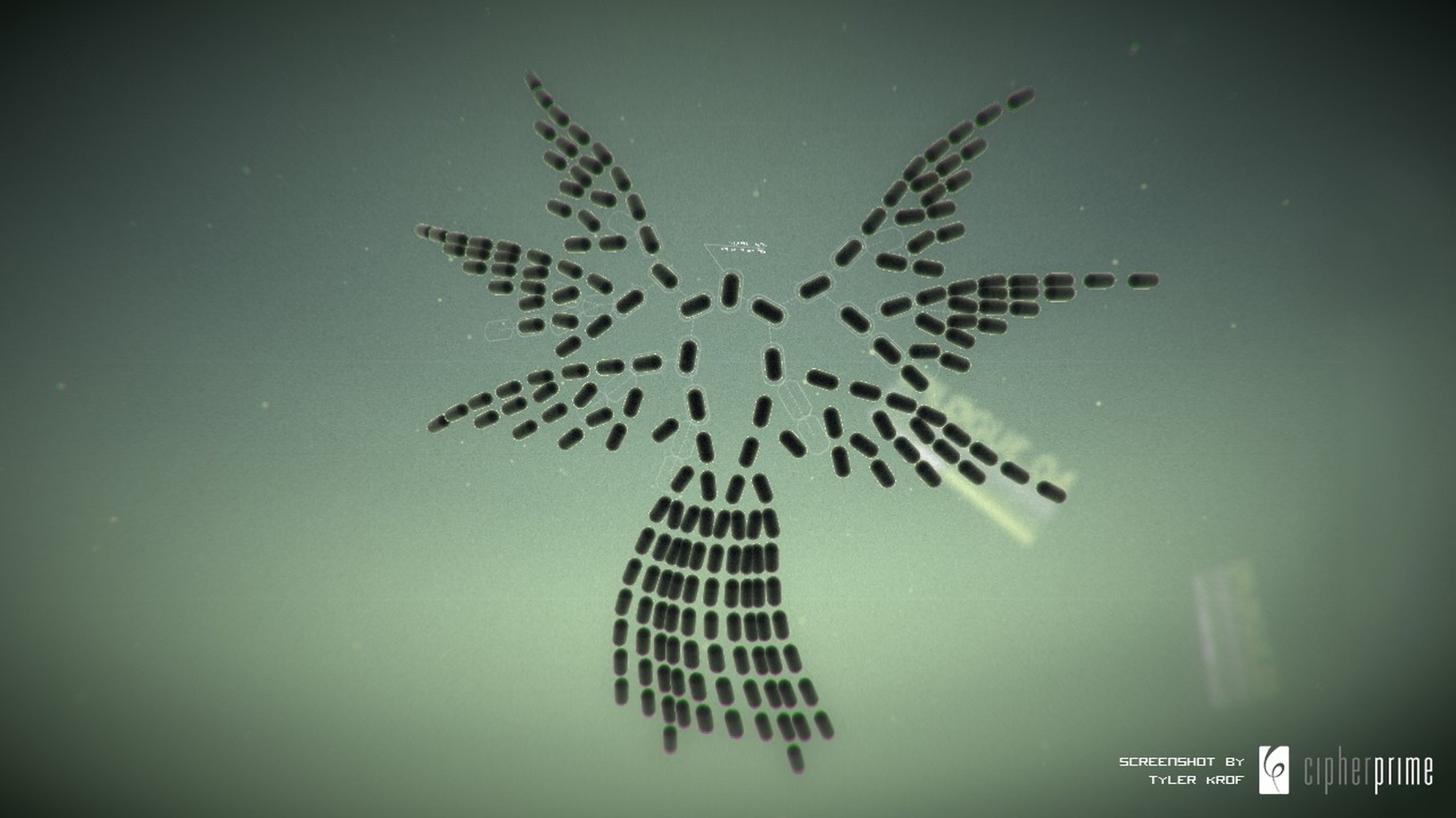 Splice