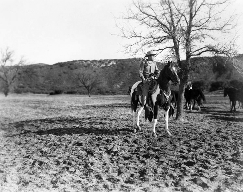 The Light of Western Stars