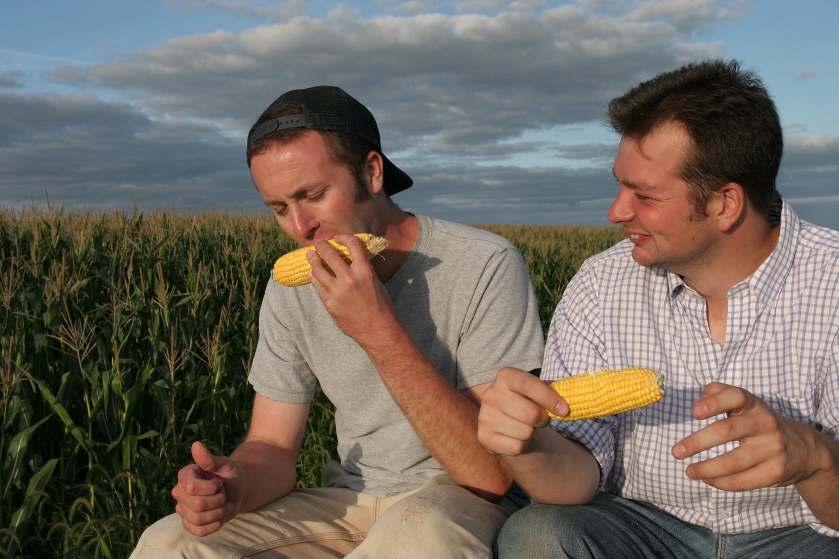 Picture of King Corn