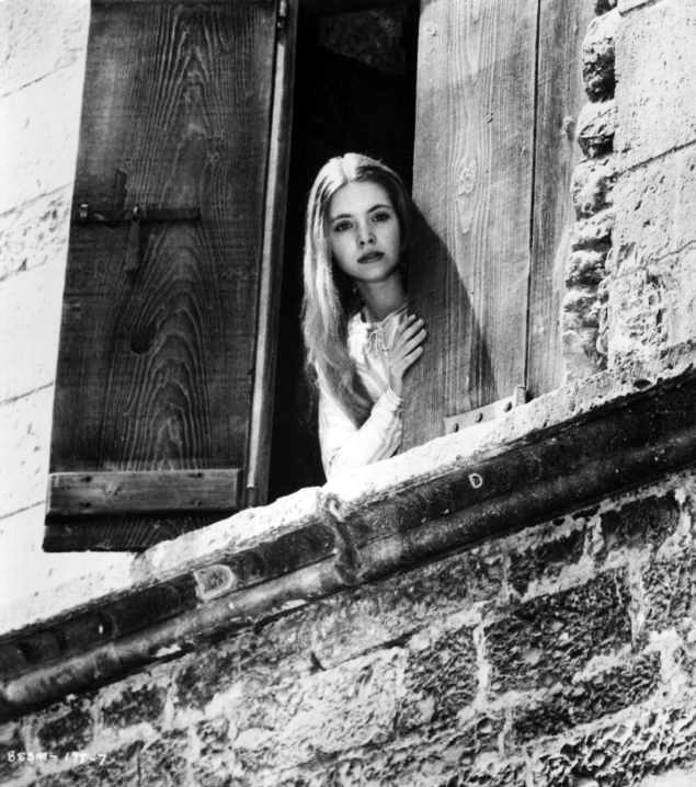 Picture of Judi Bowker.