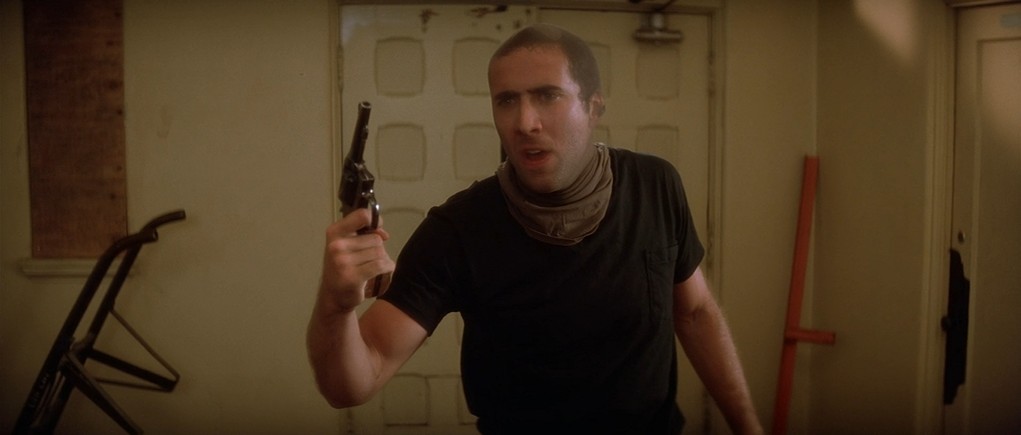 Wild at Heart Wild at Heart