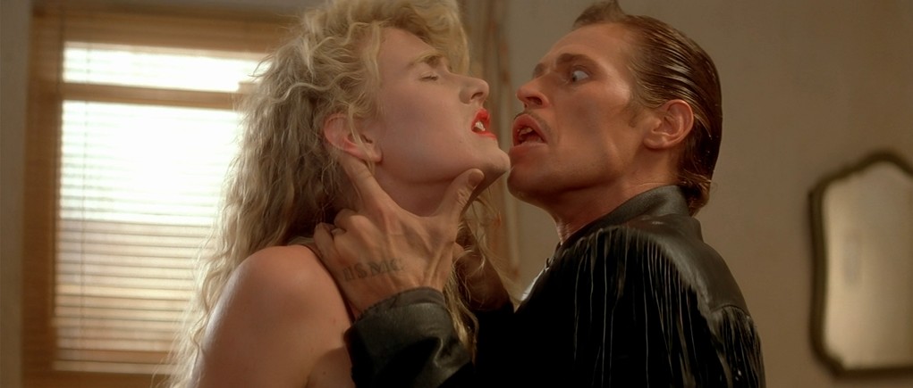 Wild at Heart Wild at Heart