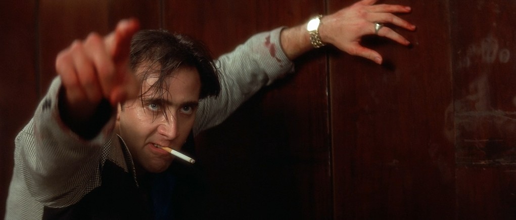 Wild at Heart Wild at Heart