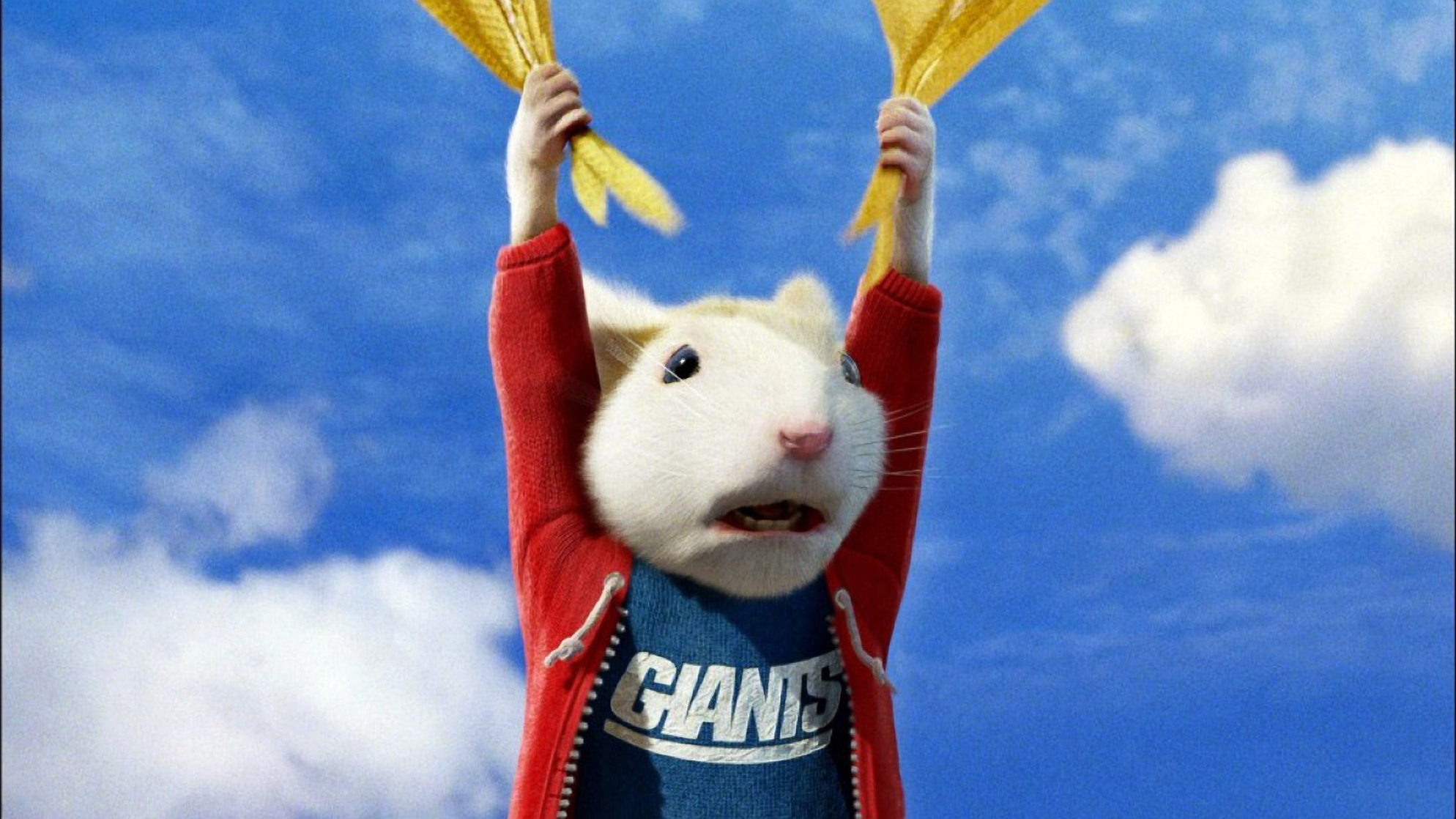 Stuart Little 2