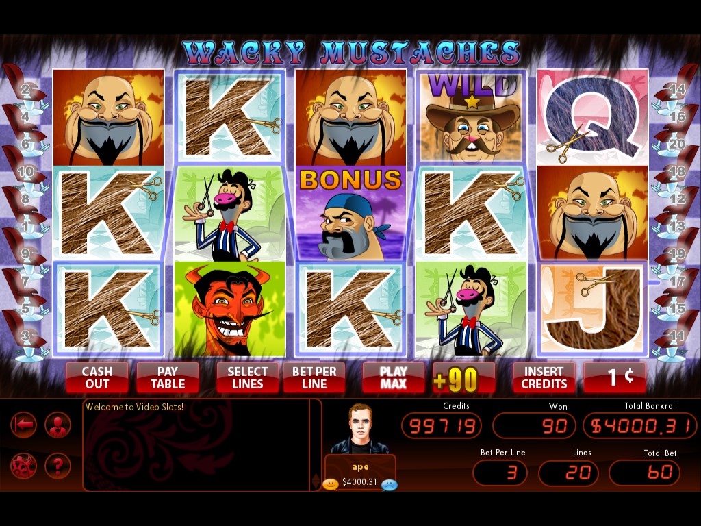 Hoyle Slots 2011
