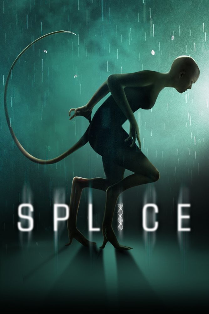 splice mdn splice mdn