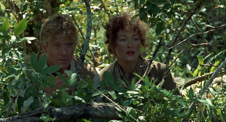 Out of Africa Out of Africa