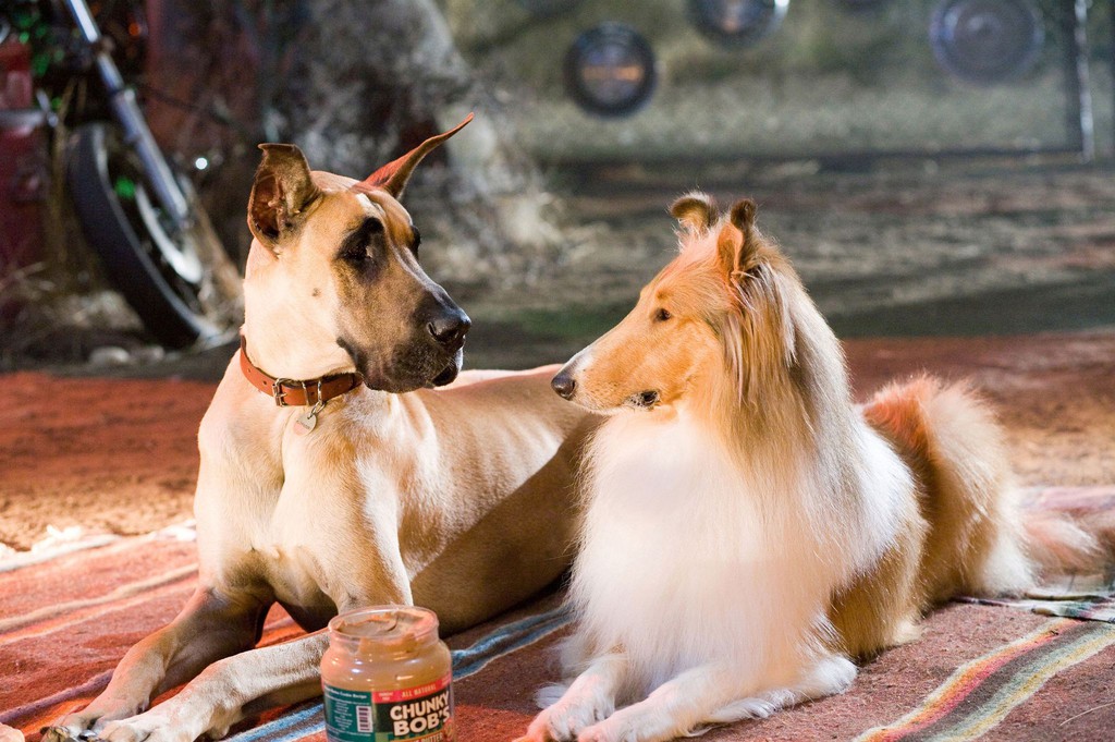 Marmaduke Marmaduke