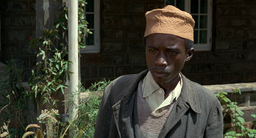 Out of Africa Out of Africa