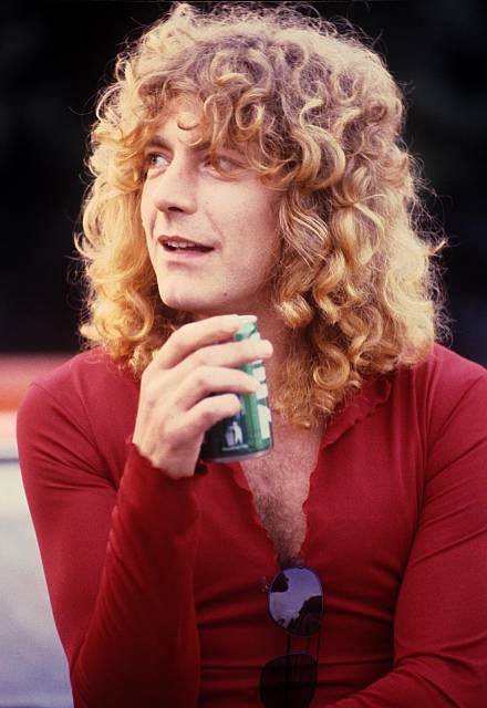 Picture of Robert Plant