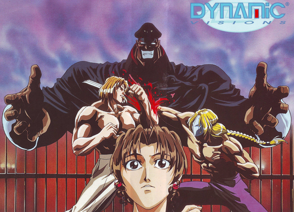 Picture of Street Fighter II: V