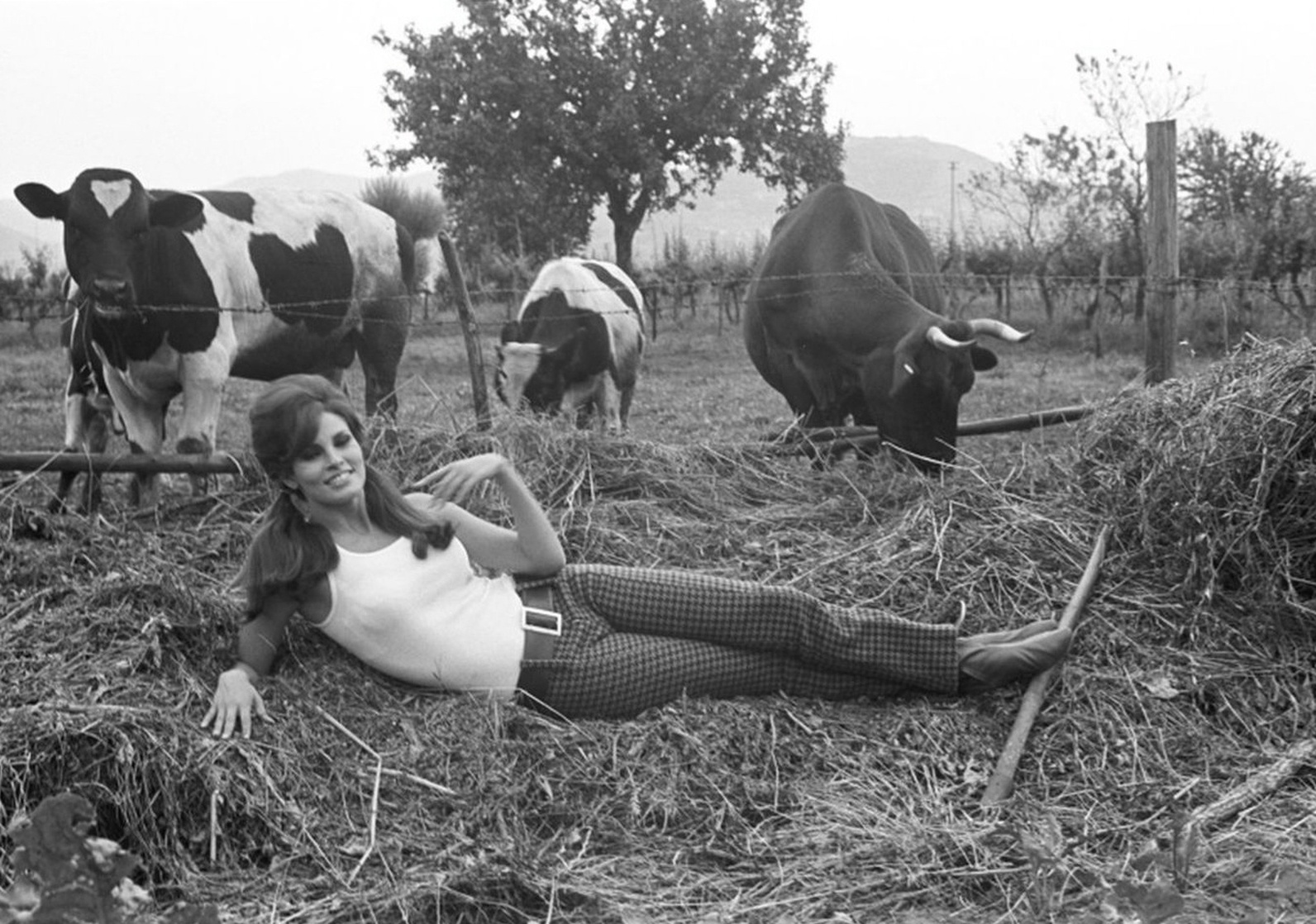 Raquel Welch