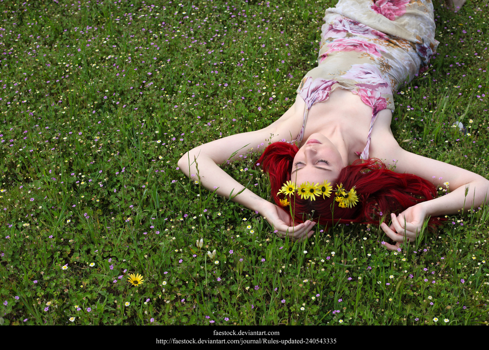 Jessica Truscott