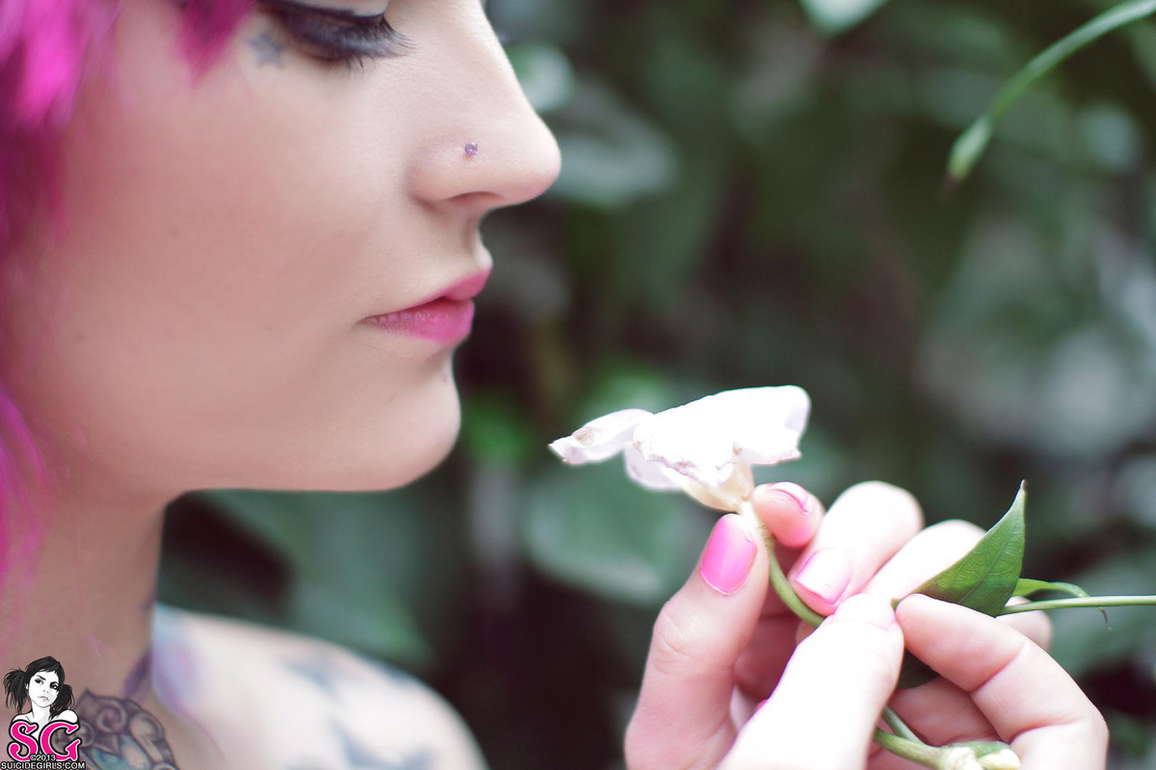 Krito Suicide