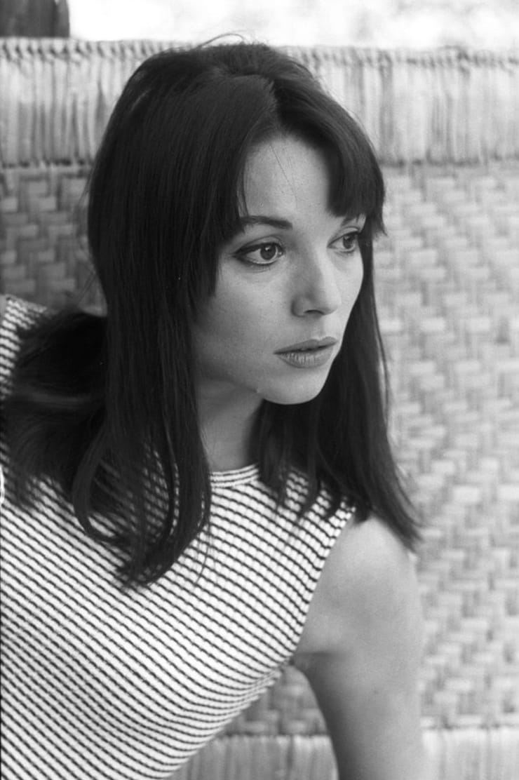 Picture of Elsa Martinelli