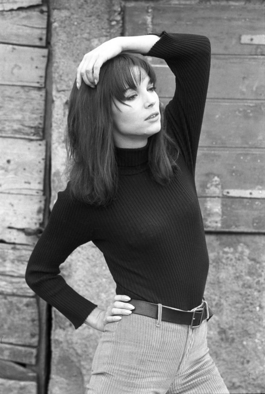 Picture of Elsa Martinelli