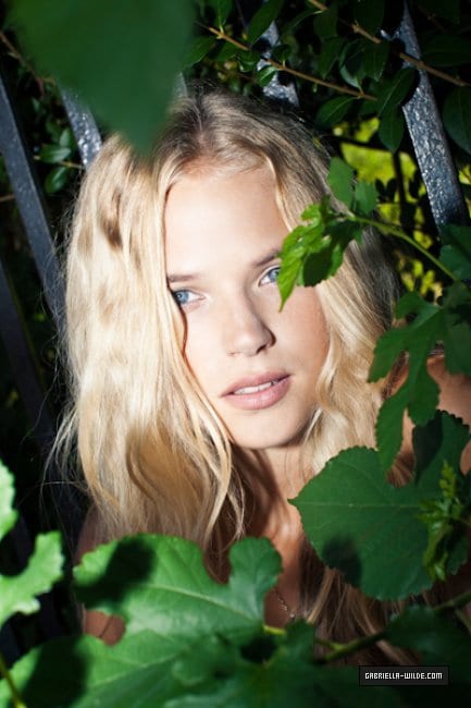 gabriella wilde movies and tv shows