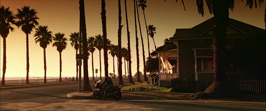 Top Gun Top Gun