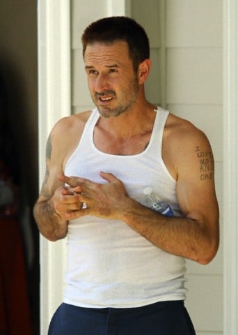 Picture of David Arquette