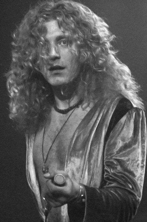 Picture of Robert Plant