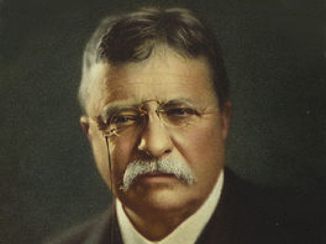 Theodore Roosevelt