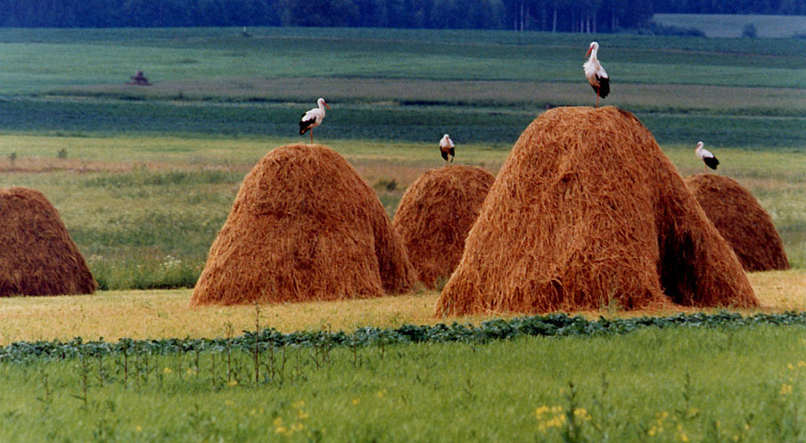 Latvia Latvia