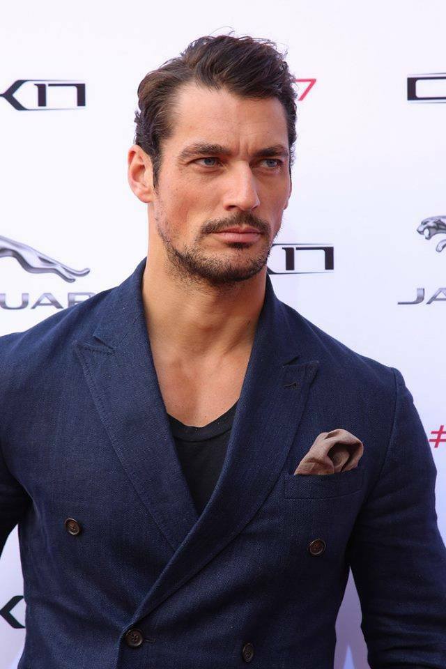 Picture of David Gandy