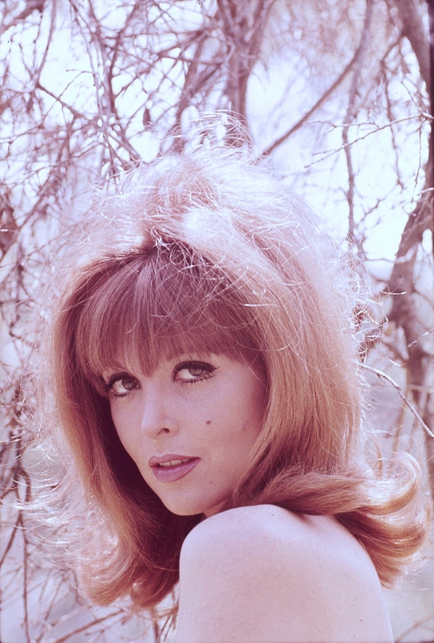 Image Of Tina Louise