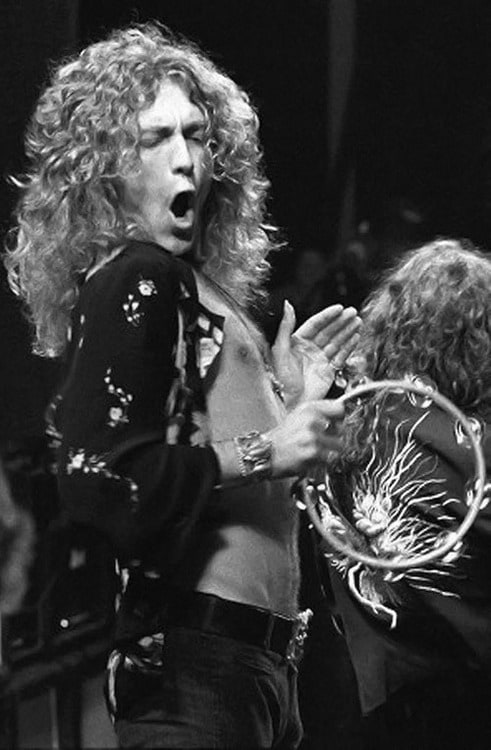 Picture of Robert Plant