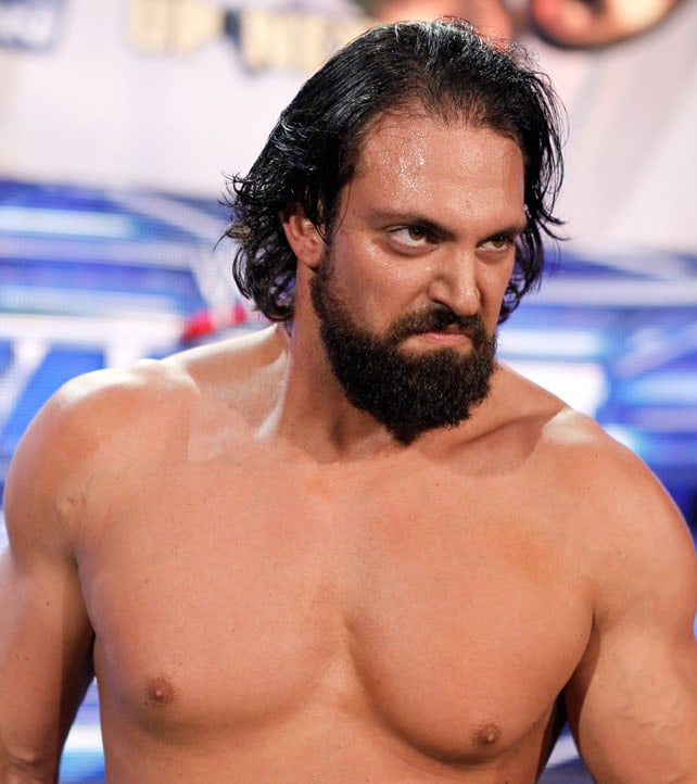 Picture Of Damien Sandow