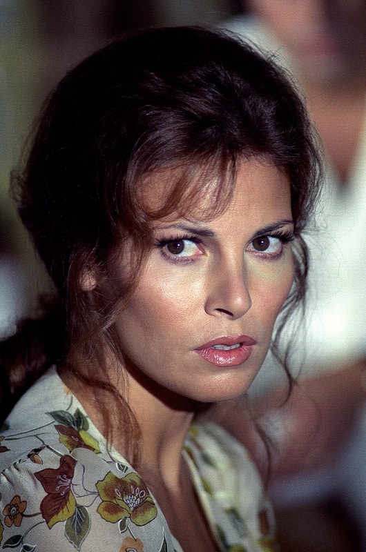 Picture of Raquel Welch