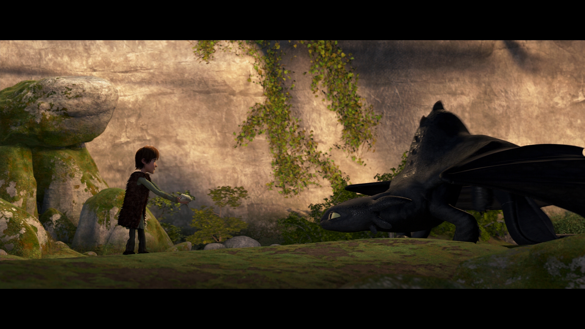 How to Train Your Dragon