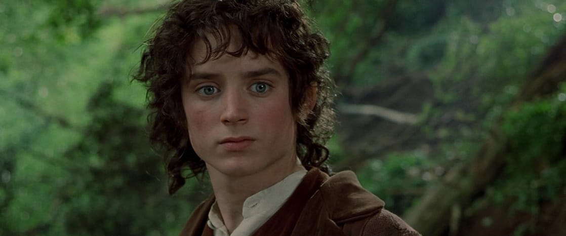 Frodo Baggins