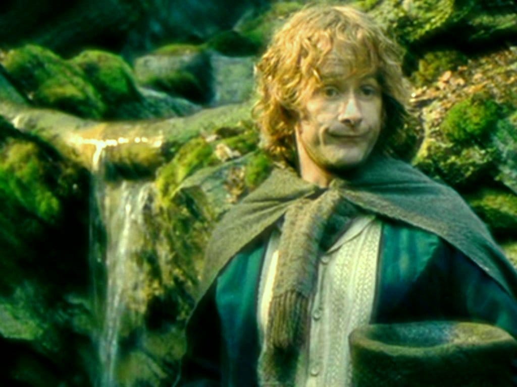 Peregrin Took