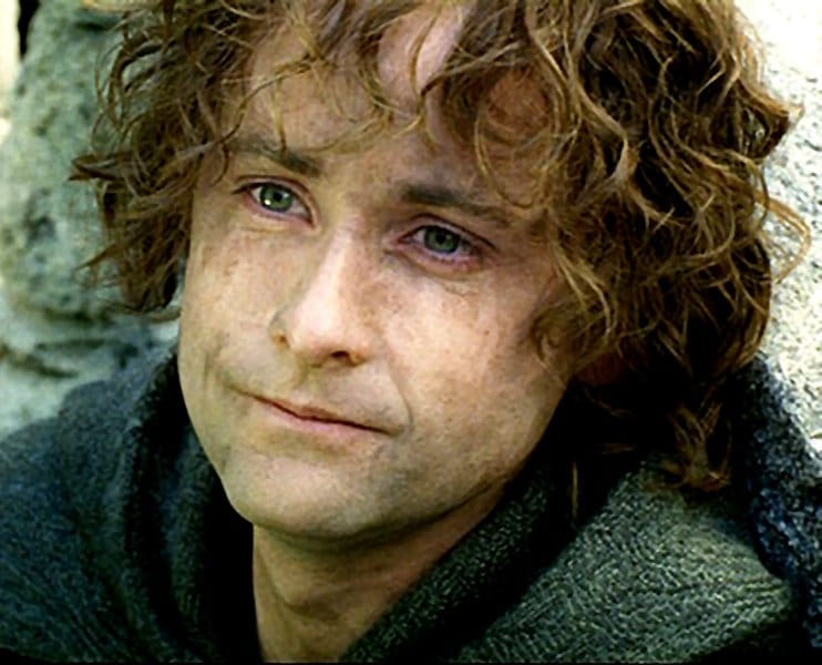 Image of Peregrin Took