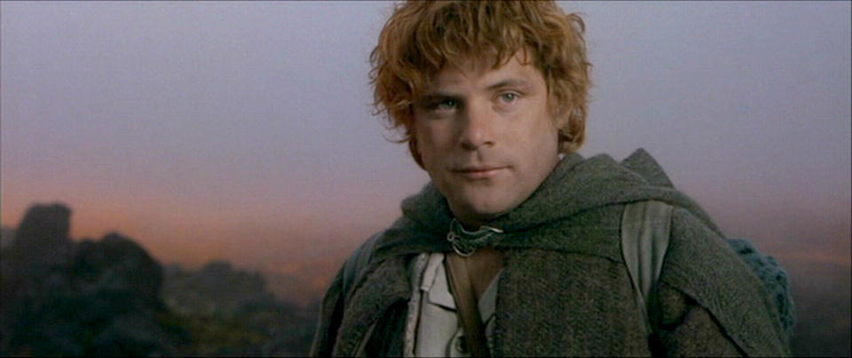 Picture Of Samwise Gamgee