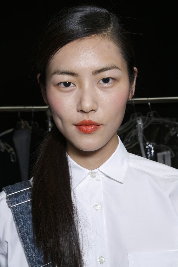 Picture Of Liu Wen