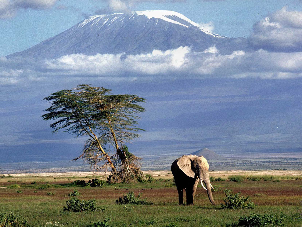 Kenya Kenya