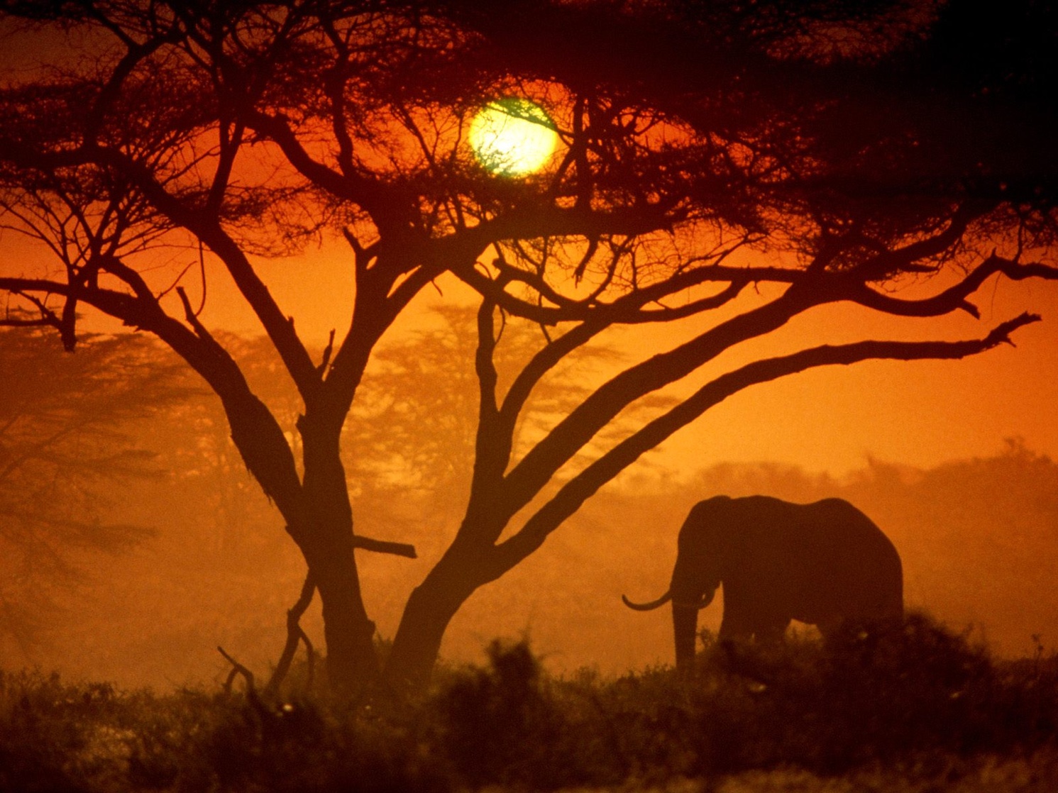 Kenya Kenya