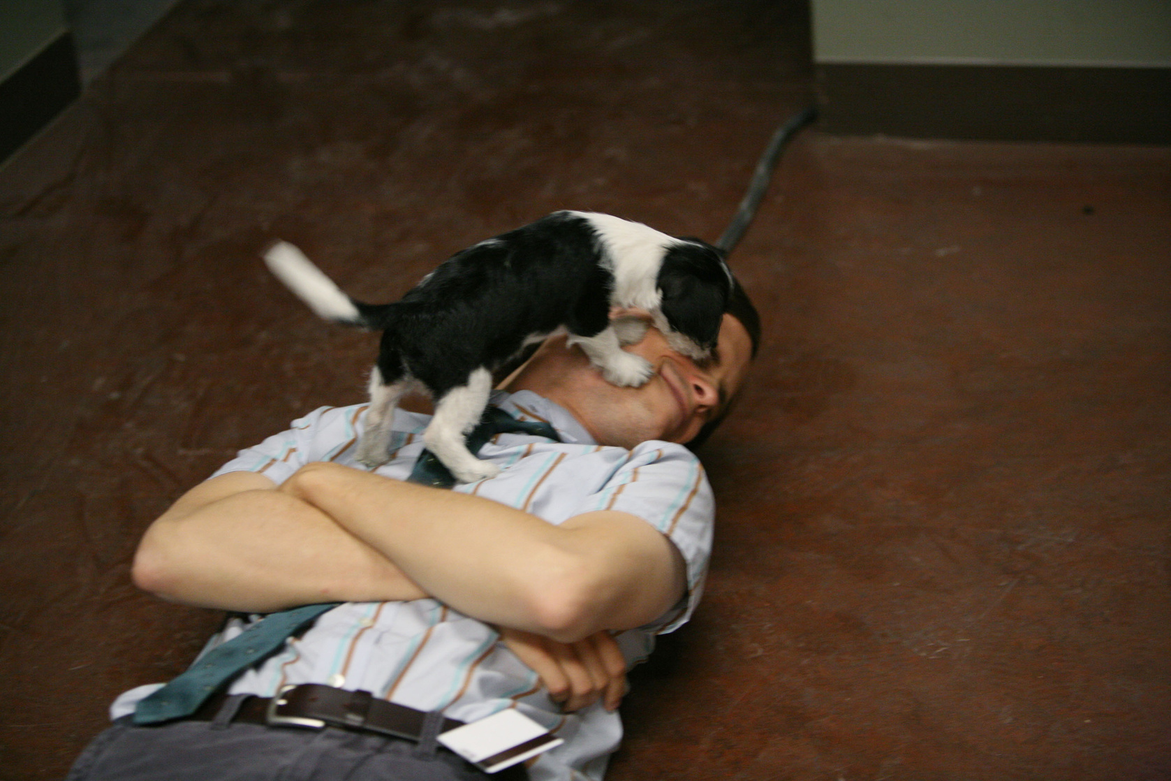 Matthew Gray Gubler
