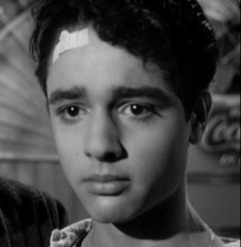 Picture of Sal Mineo