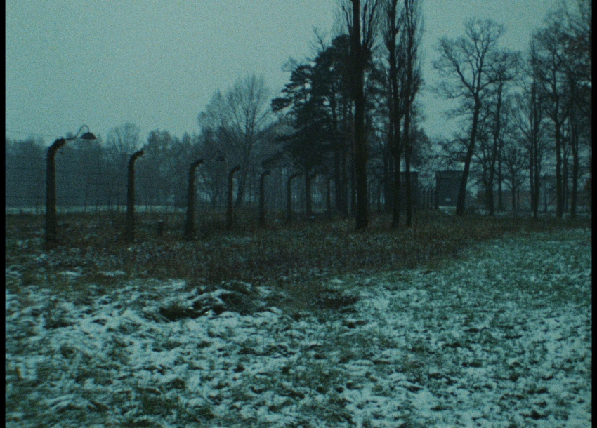 Shoah (1985) Shoah (1985)