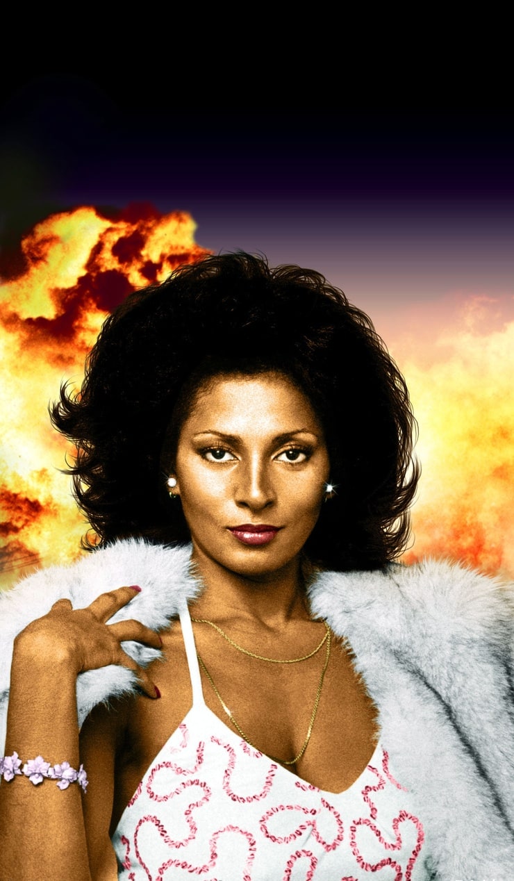 Picture Of Pam Grier