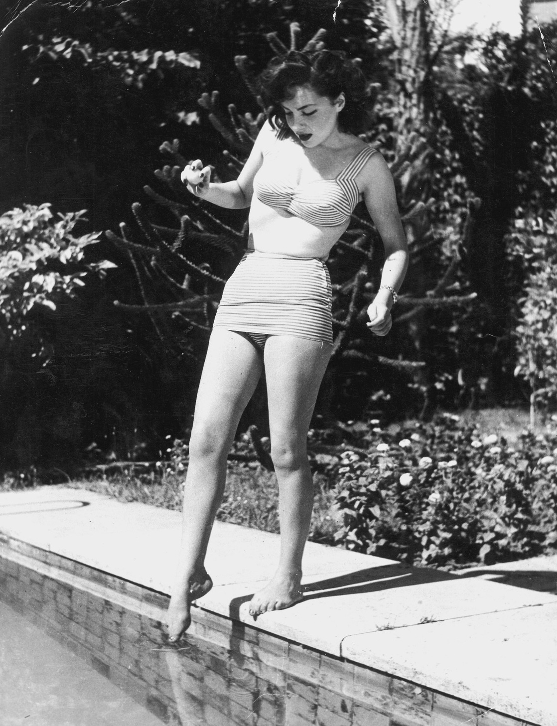 Gina Lollobrigida Gina Lollobrigida