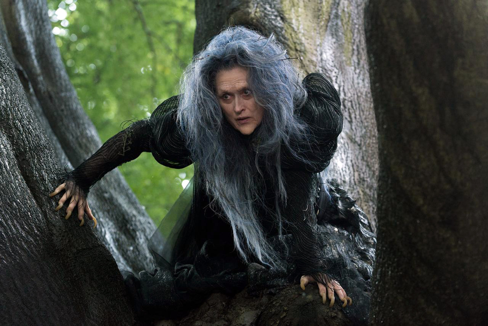 Into the Woods Into the Woods