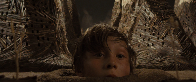 Where the Wild Things Are
