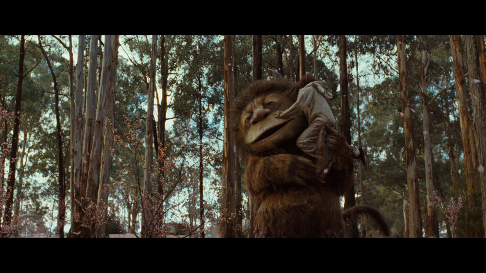Where the Wild Things Are