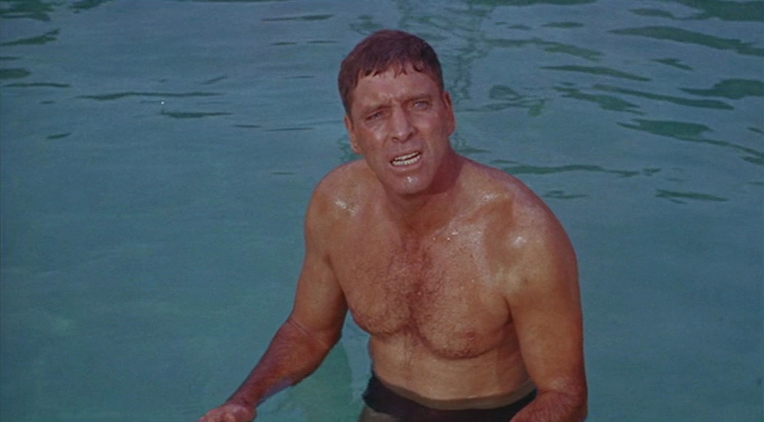 The Swimmer The Swimmer